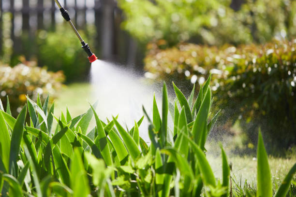 Tamper-Resistant Bait Stations for Rodents in Marlborough