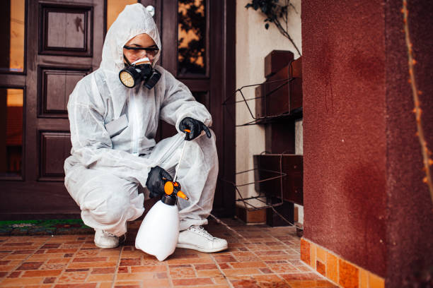 Attic and Crawl Space Rodent Treatment in Marlborough