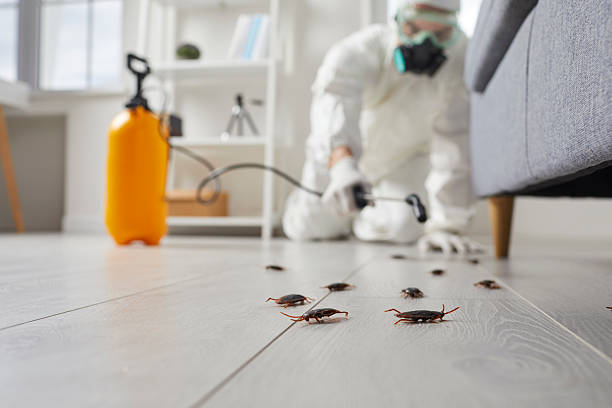 Commercial Rodent Management in Marlborough